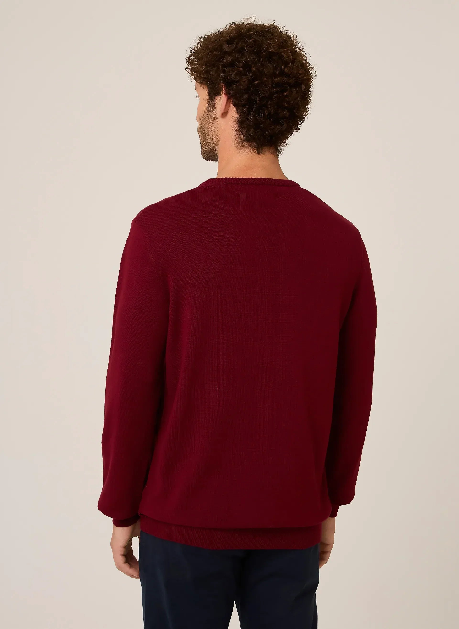 Suéter Tricot Básico Dudalina Masculino