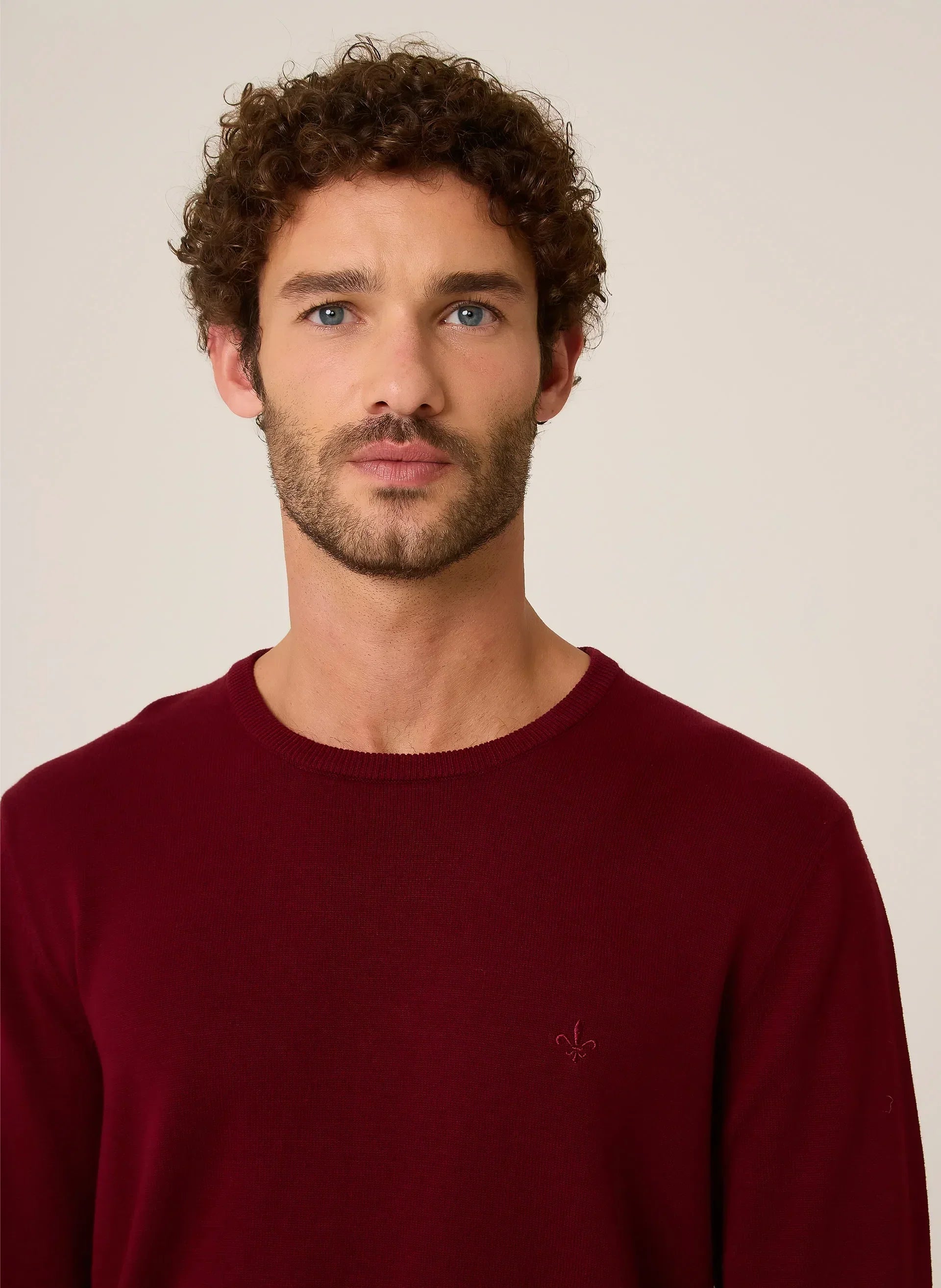 Suéter Tricot Básico Dudalina Masculino