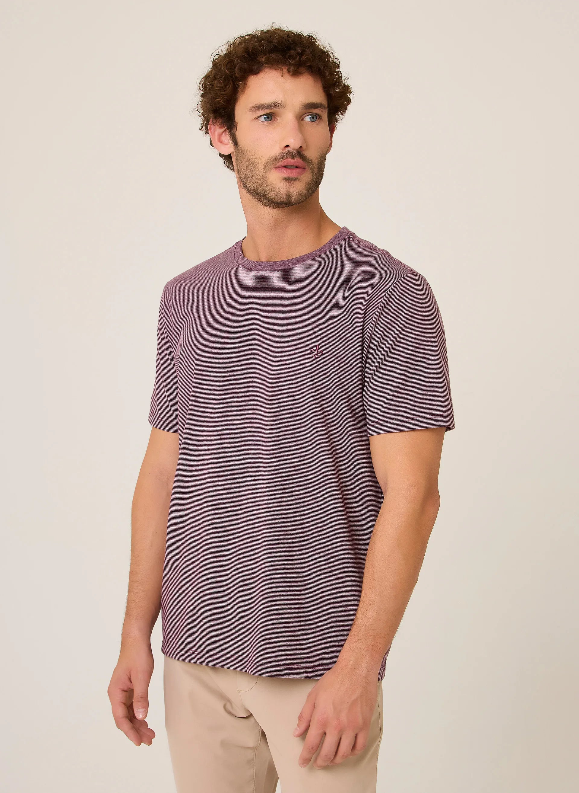 Camiseta Regular Minilistras Dudalina Masculina